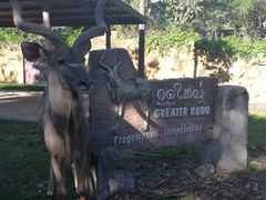 -清迈夜间动物园