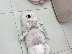 -怪兽屋·羊驼·猫咖·狗咖(俊华广场店)