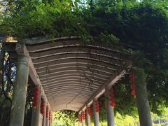 -广州市帽峰山景区