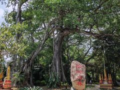 -瑞丽独树成林风景区