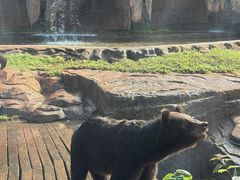 -海南热带野生动植物园