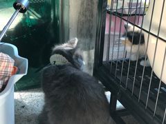 -谷咖啡·鲜花绿植花园餐厅