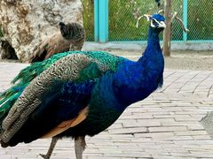 -水上乐园·欢乐世界