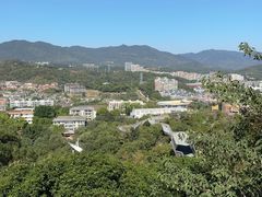-福道