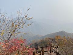 -大岭沟猕猴桃谷风景区