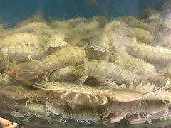 -四海鲜渔家菜(黄金海岸店)