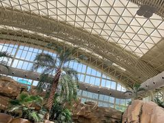 -杭州开元森泊度假乐园