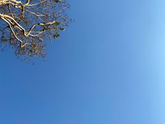 -武汉紫薇都市田园