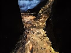 -湖南省地质博物馆