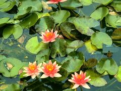 -国家植物园南园