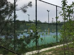 -回龙观体育文化公园