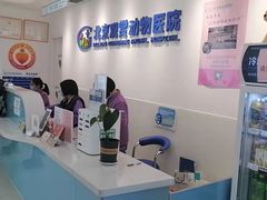 -北京观赏动物医院·24小时大型综合·猫专科·异宠专科