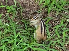 -长春市南湖公园