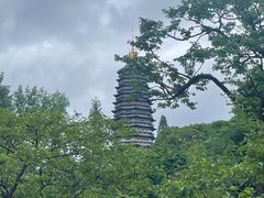 -红梅公园