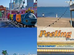 -巨鹏飞梦幻海岸