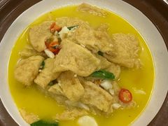 -洞庭家宴·头牌甲鱼(广渠门店)
