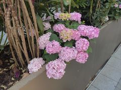 -中粮·祥云小镇