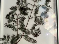 -四川大学博物馆