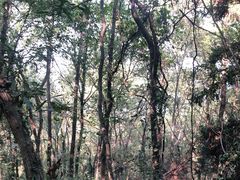 -南京金牛湖风景区