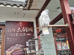 -大胡同天津菜·海肠捞饭·津门皮皮虾锅贴一绝(西姜井店)