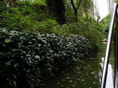 -荆川公园