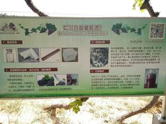 -北京张裕爱斐堡酒庄