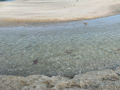 -汕尾风车岛