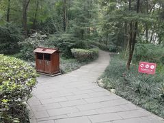 -成都市活水公园