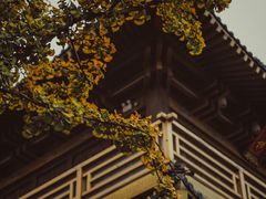 -香积寺