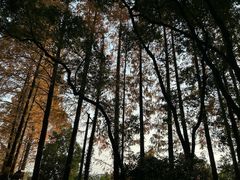 -宁波市保国寺古建筑博物馆