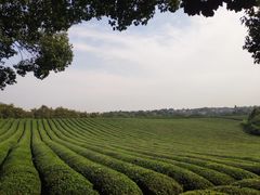 -敬亭山风景名胜区