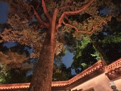 -杭州黄龙洞