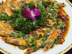 -麦麦山云南菜(复地活力城店)