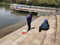-新江湾城公园