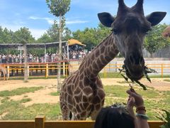 -西霞口神雕山野生动物世界