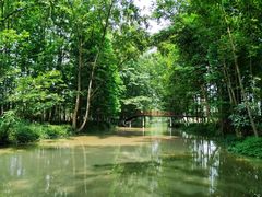 -桤木河湿地公园