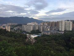 -金鸡山公园