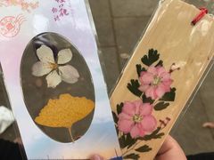 -武汉大学-樱园
