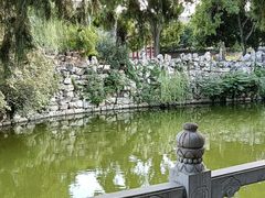 -莲池书院博物馆