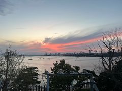 景观位-Vanilla Specialty Coffee(八大关店)