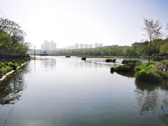 -前关湿地公园