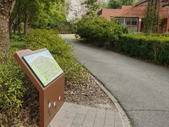 -上海滨江森林公园