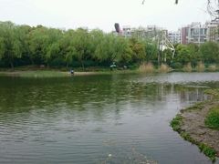 -新江湾城公园