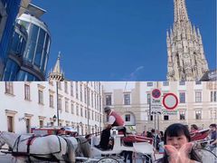 -斯蒂芬主教座堂(Stephansdom)