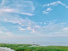 -南汇嘴观海公园