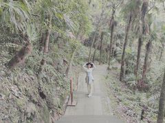 -凤栖山