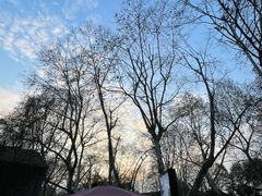 -中国美术学院-美术馆