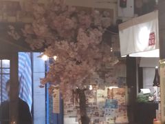 -金龙咖喱