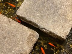 -邈墨茶馆(凤起路店)