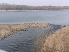 -沈阳鸟岛